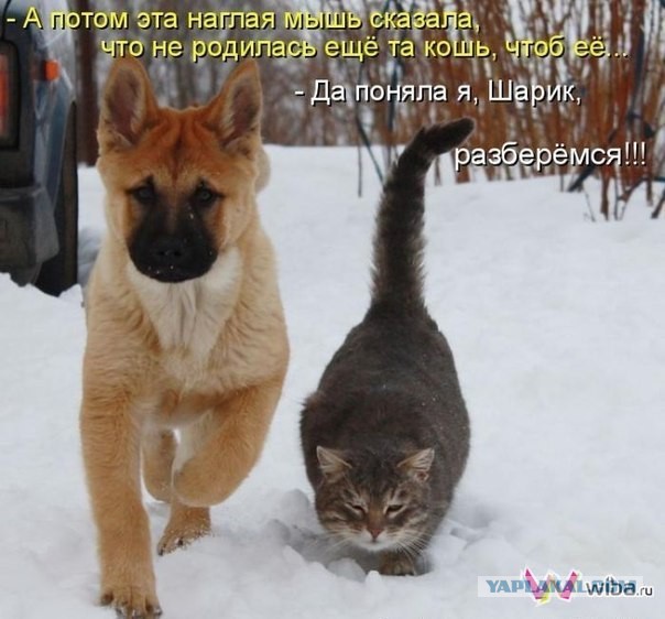 Всех с любимым четвергом! Бабаки-Барабаки!