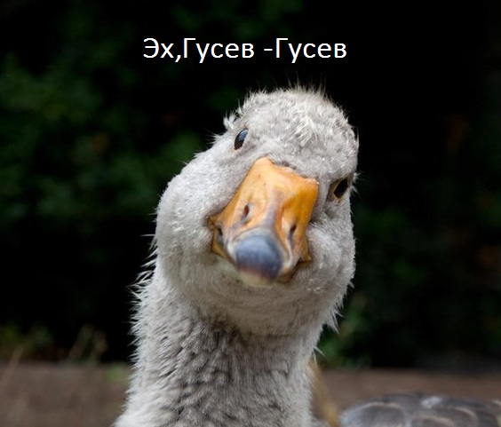 Чемпионат Мира по хоккею 2015 часть 2