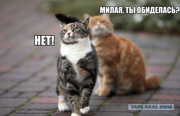 20 кадров, в которых мы невольно узнаём самих себя