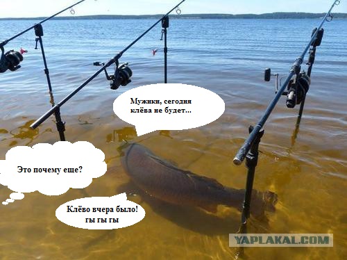 Смешные картинки №...дцать
