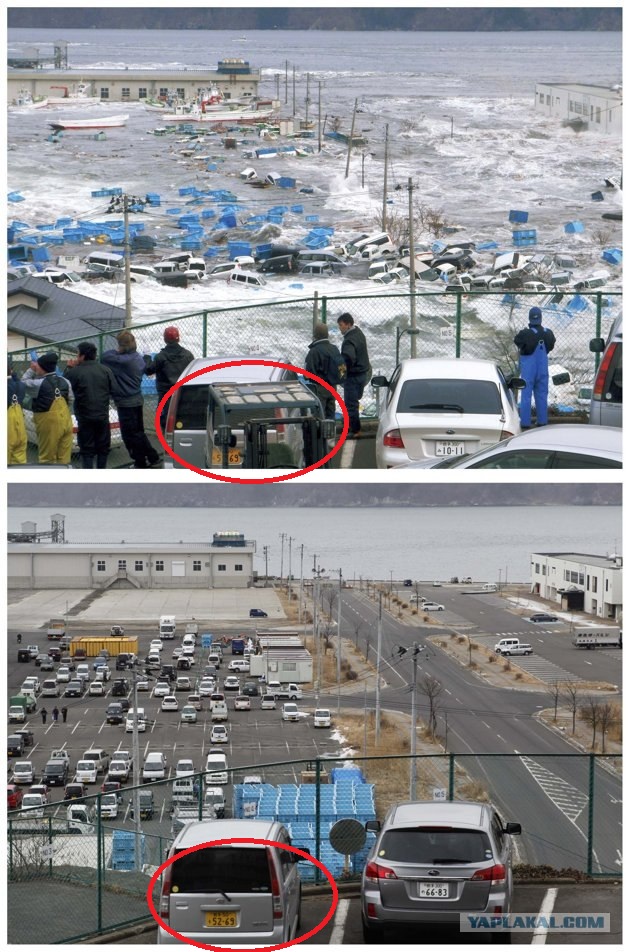 Tsunami: год спустя.