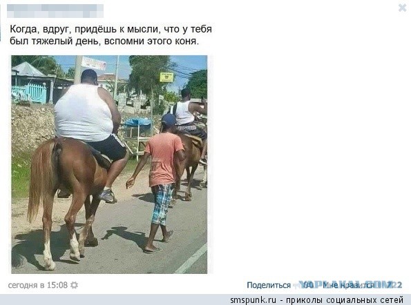 Непруха.Свидетель.