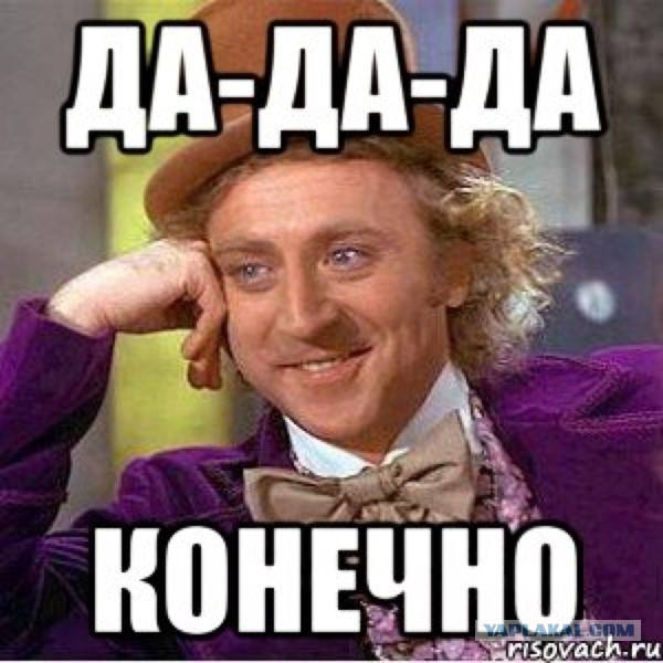 Рождественский ролик с котом