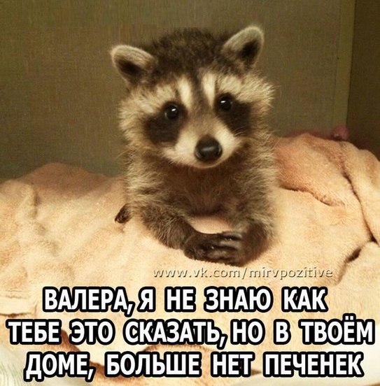 Люблю еду.