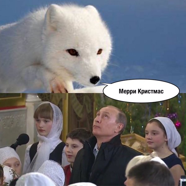 Цены на нефть упали ниже $34 за баррель