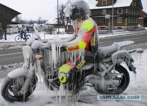 На тему мототоксикоза