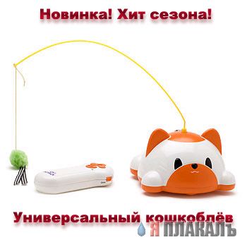 Пра кошака