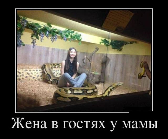 Веселые картинки