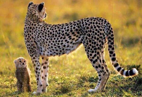 Подборка картинок на среду