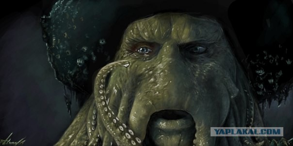 Гигантское загадочное животное вынесло на берег Тихого океана