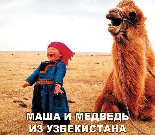 Интересные и веселые картинки