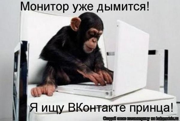 Социальные сети или как я оказался презираем