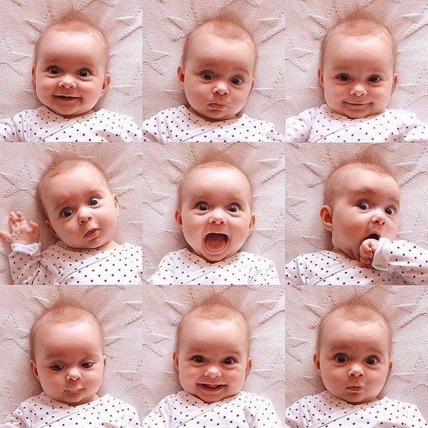 Подборка интересных и веселых фото