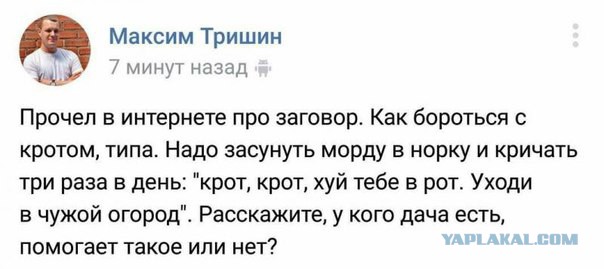 Смешные комментарии из социальных сетей 10.06.2016