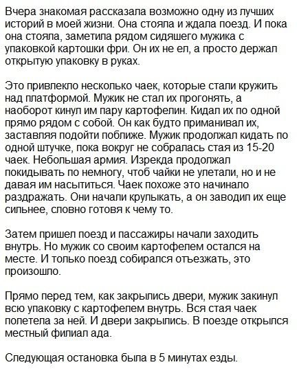 Ассорти  фоток на пятницу..