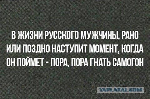 Минпромторг хочет снизить цену на водку до 100 рублей