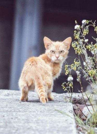 Предновогодний депресняк