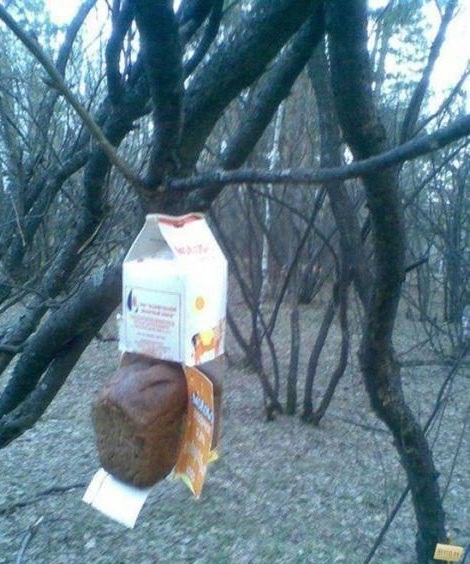 Фото из этих ваших интернетов