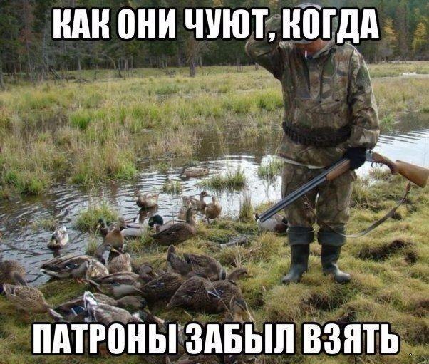 Подборка безудержного веселья