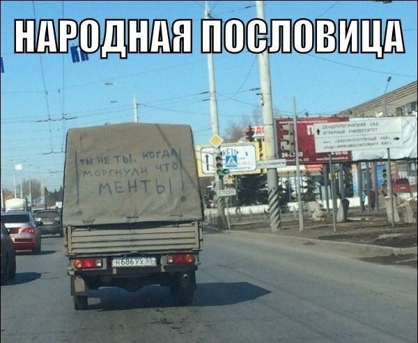 Прикольные картинки 28.06.2017.