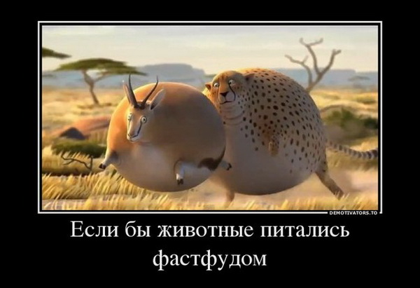 Немного веселых картинок к среде