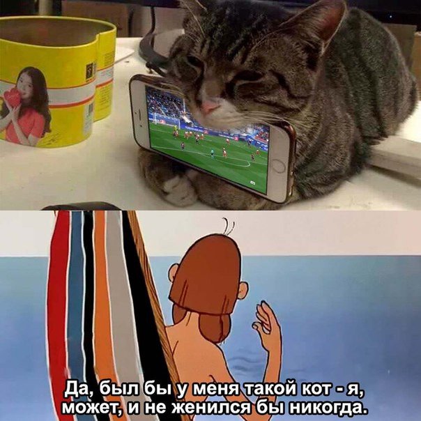 Пользователи сети поделились очередными доказательствами того, что коты — те ещё негодяи