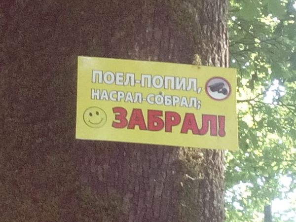 Надписи от тех, кто точно знает, как приковать наше внимание