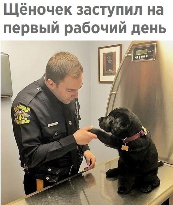 Подборка интересных и веселых картинок