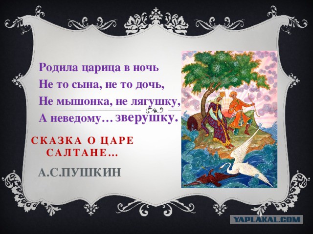 Зверушки потягиваются