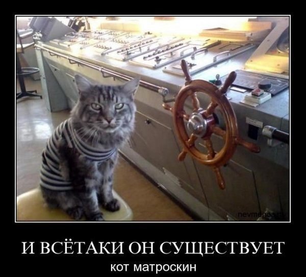 Немного картинок в этот четверг