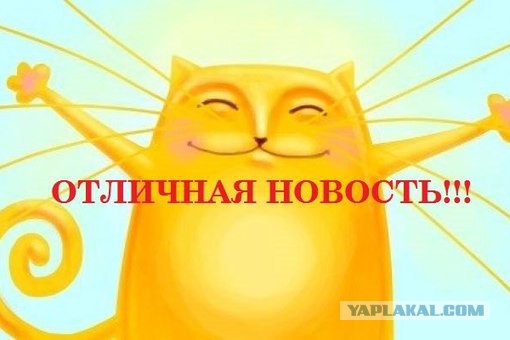 Три человека погибли в огненном ДТП на Кутузовском проспекте в Москве