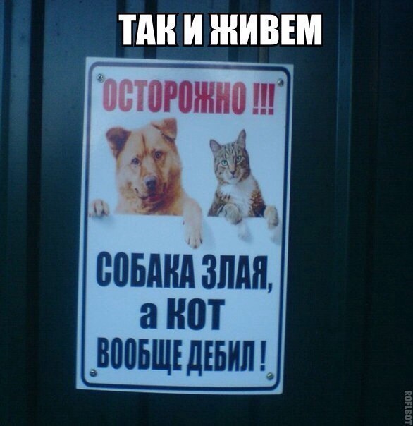 Смешные объявления, надписи и вывески