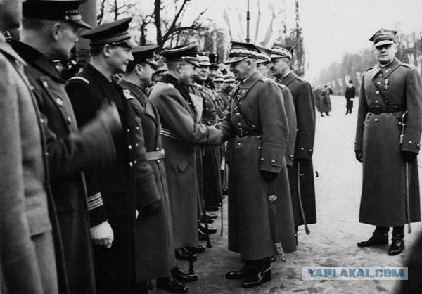 Польский поход РККА 1939 года в фотографиях