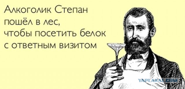 Здравствуй, Белка!