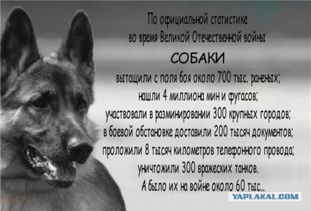 "Гладильные" места