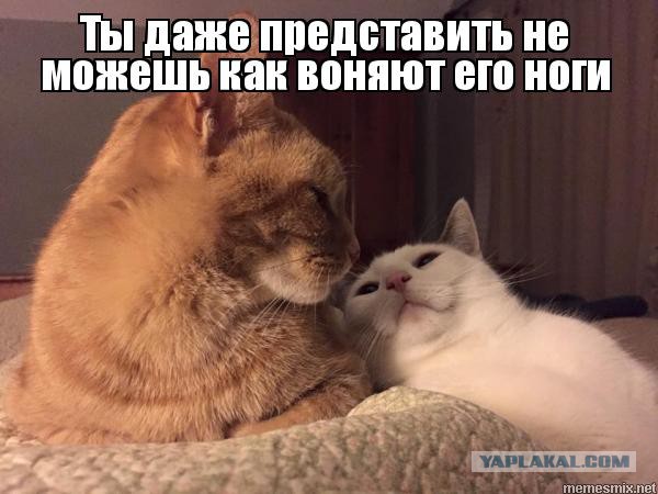 У мужа ужасно пахнут ноги!