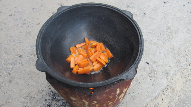 Шурпа обыкновенная, на природе