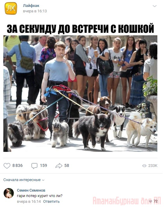 Комментарии к постам в разных группах