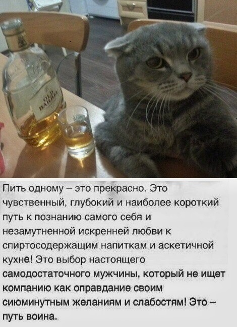 В 25 лет девушки перебирают мужчин, а после 40 наоборот