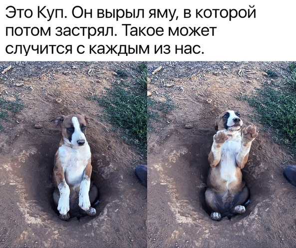 Чуток картинок! 26.12.19