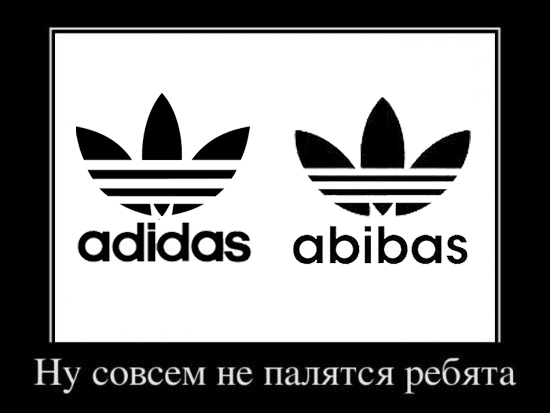 Какая связь между Linkin Park и автобусами?