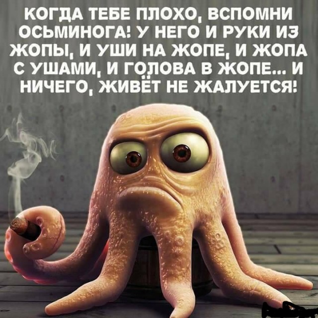 Весёлые картинки 18.01.20