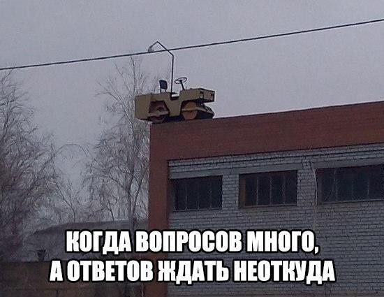 Чуток картинок 20.04.20
