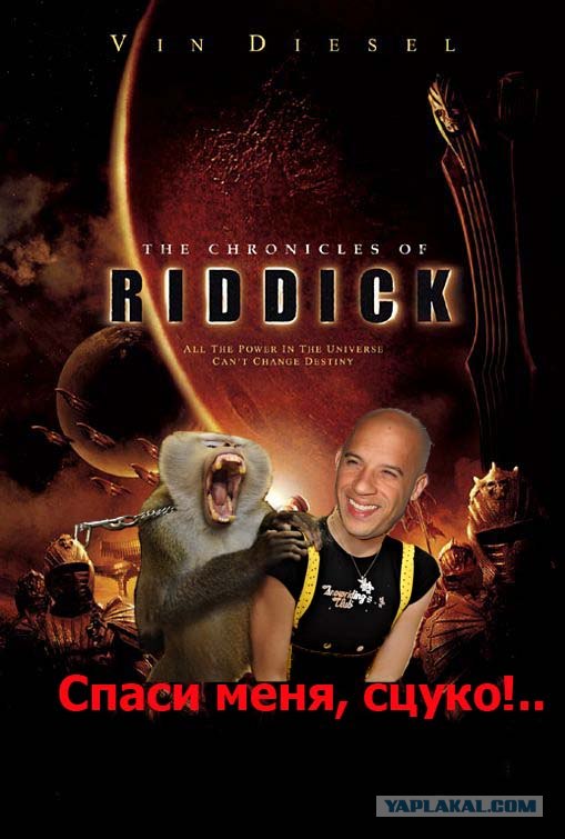 Фотожаба: Не совать!