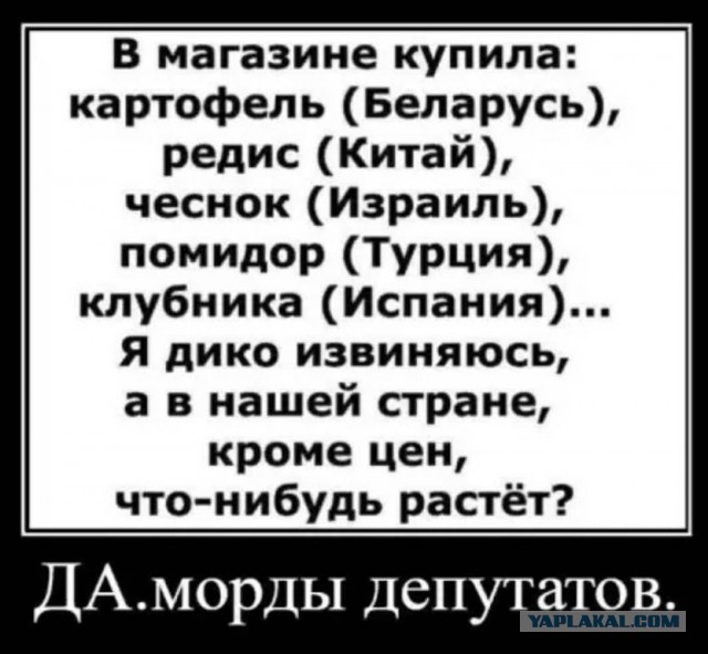 Опять показуха