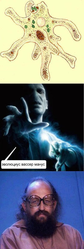 Ярость Волан-де-Морта
