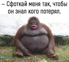 От светло серого до чёрного!