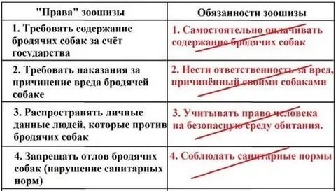 В Новосибирске бродячая собака набросилась на детей
