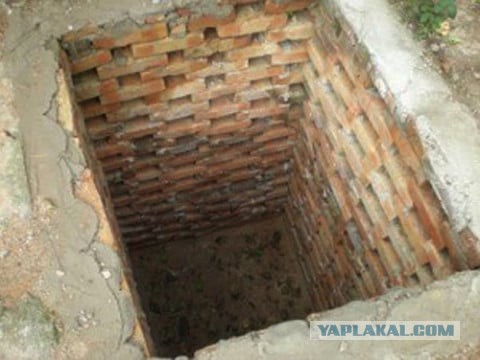 Психанул. Дачный сортир «king size»