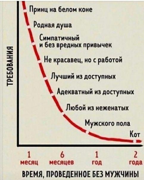 Насохранял